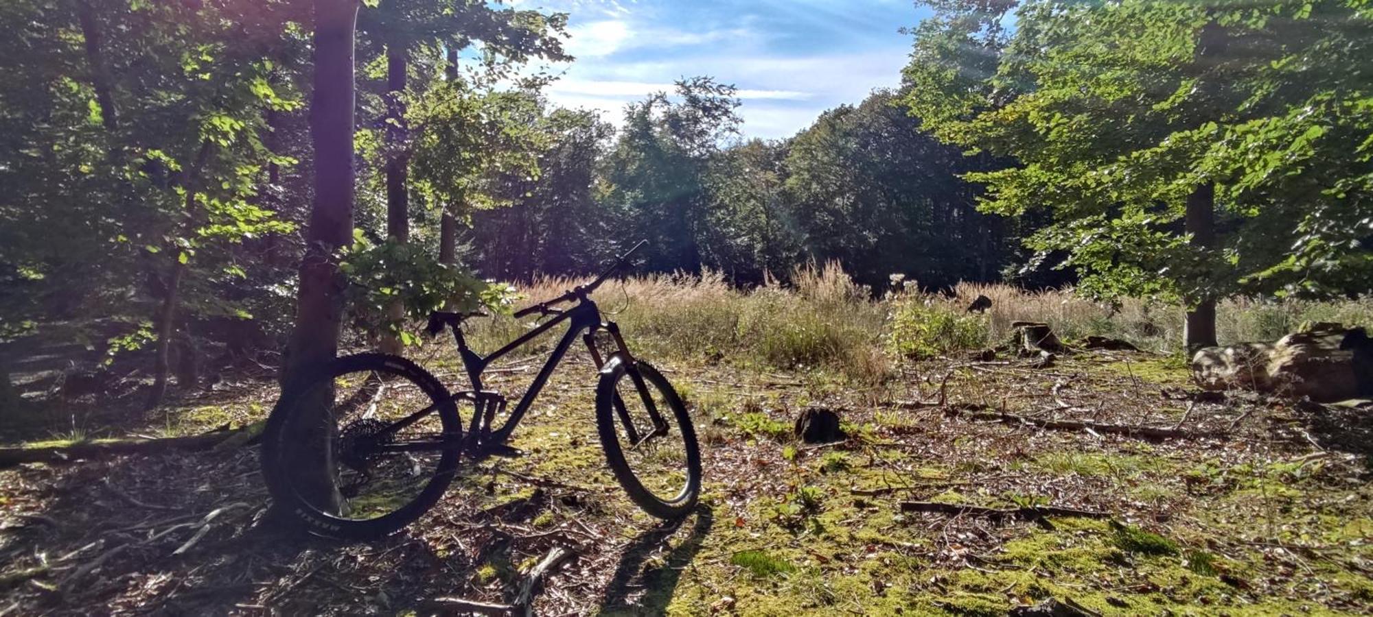Ferienhaus Moehnetal Allagen Esterno foto
